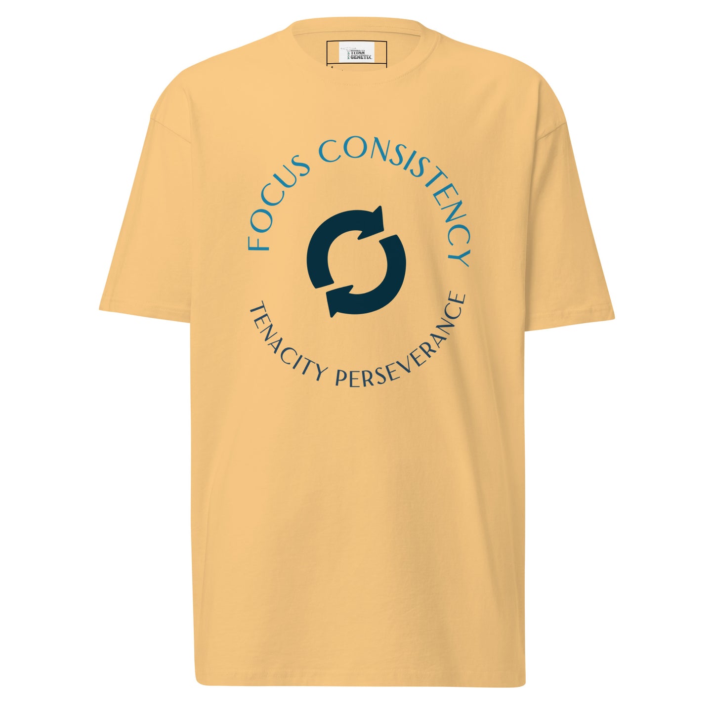 Titan Tenets - Men’s Premium T-Shirt