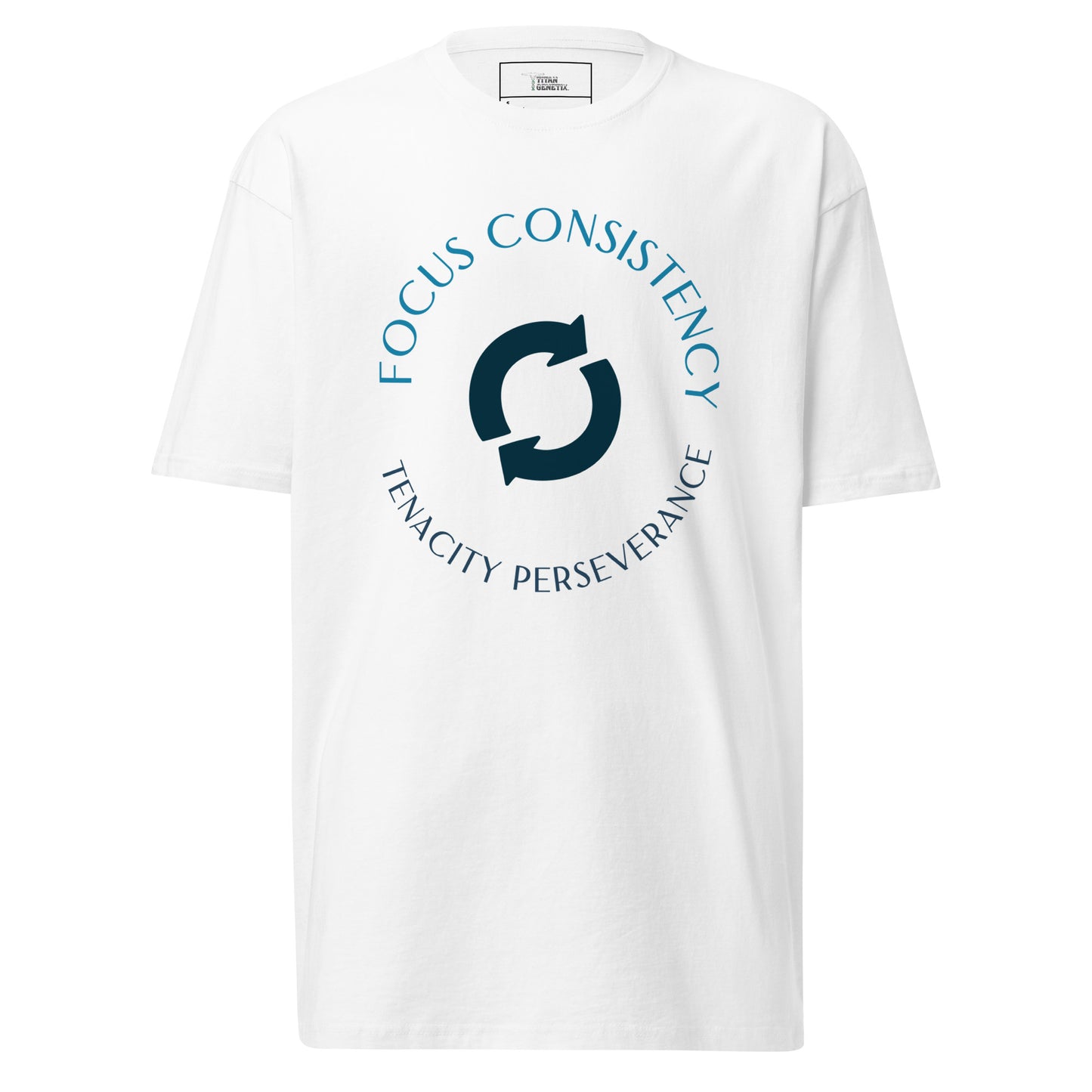 Titan Tenets - Men’s Premium T-Shirt