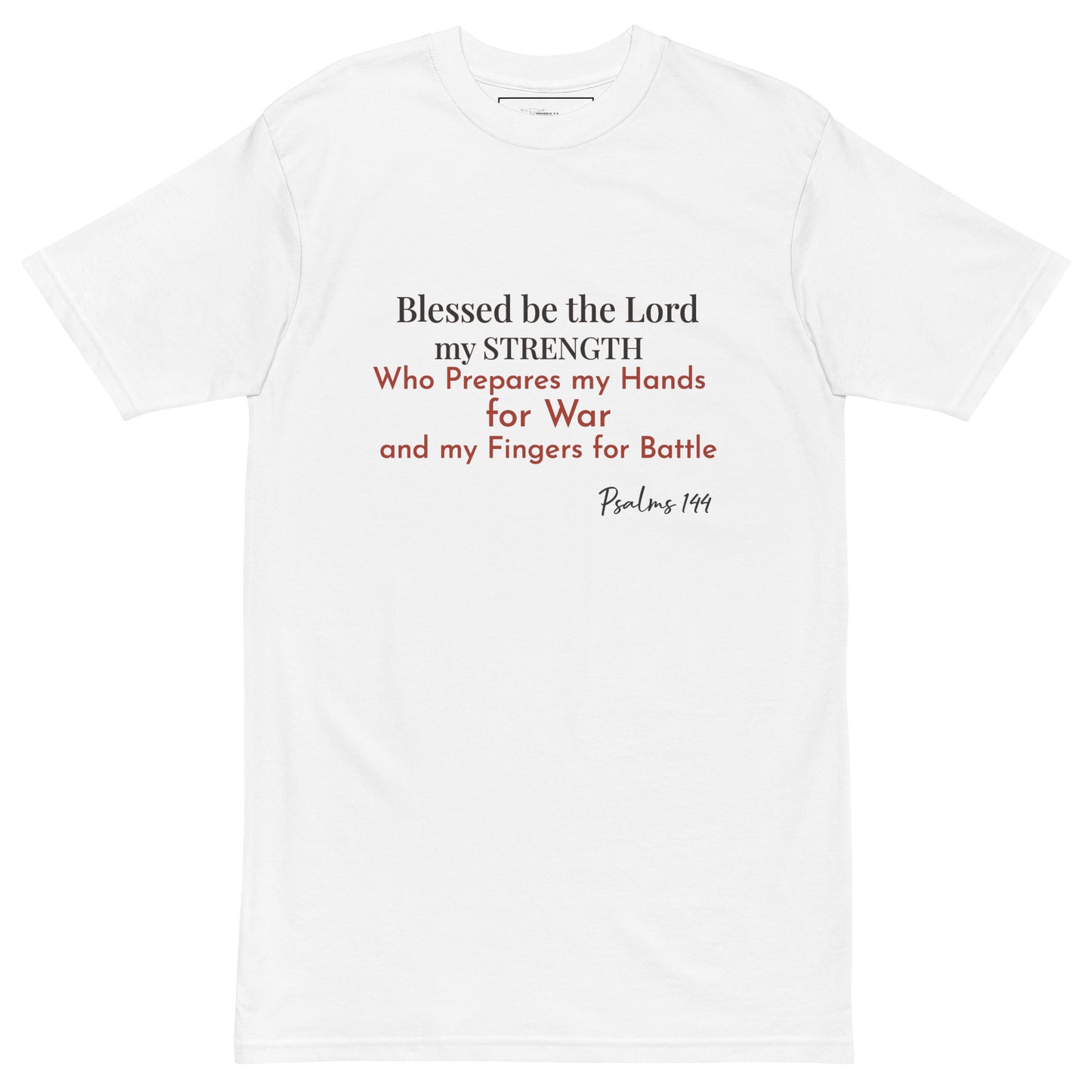 Warrior's State of Mind - Men’s Premium Tee