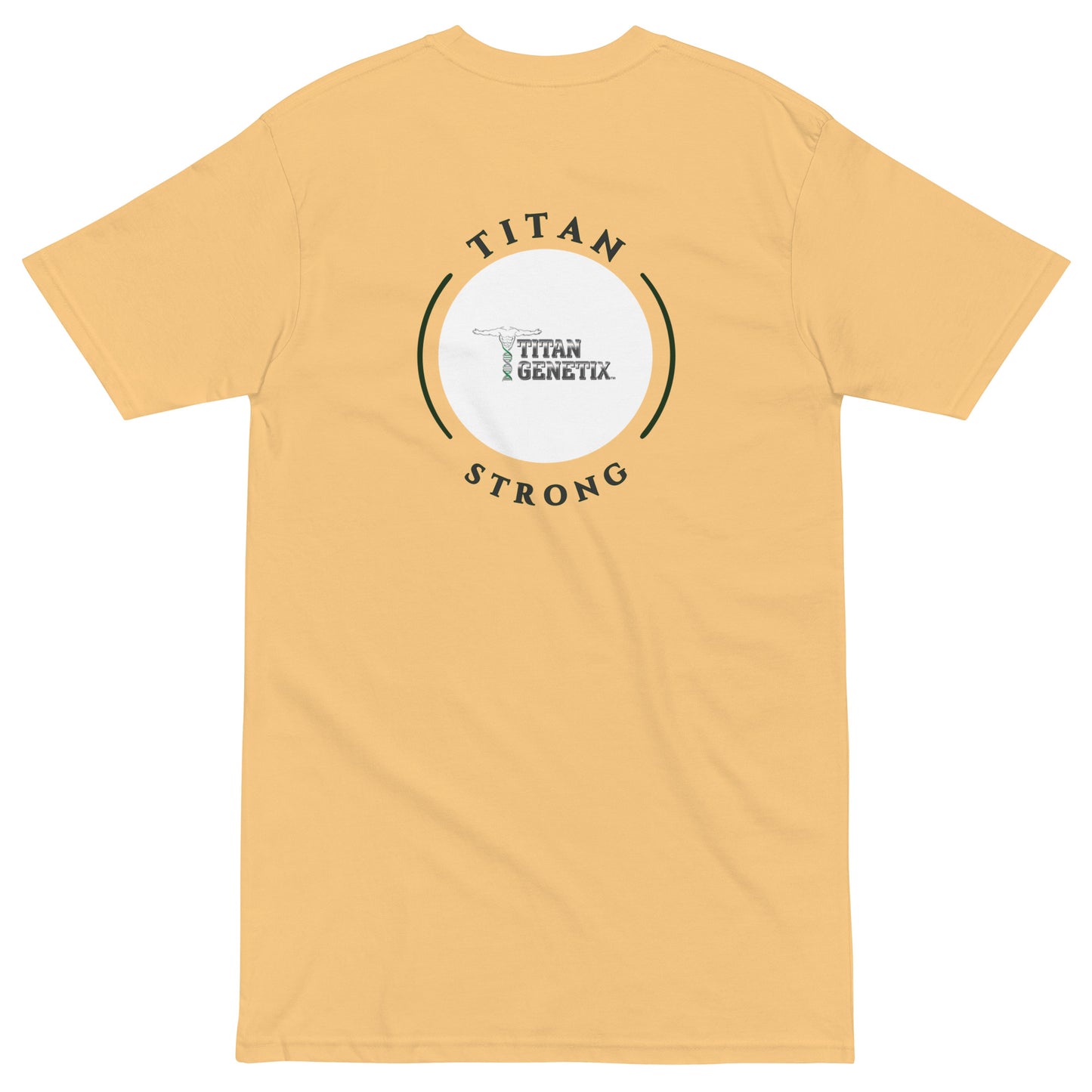 Highest Level - Men’s Premium Tee