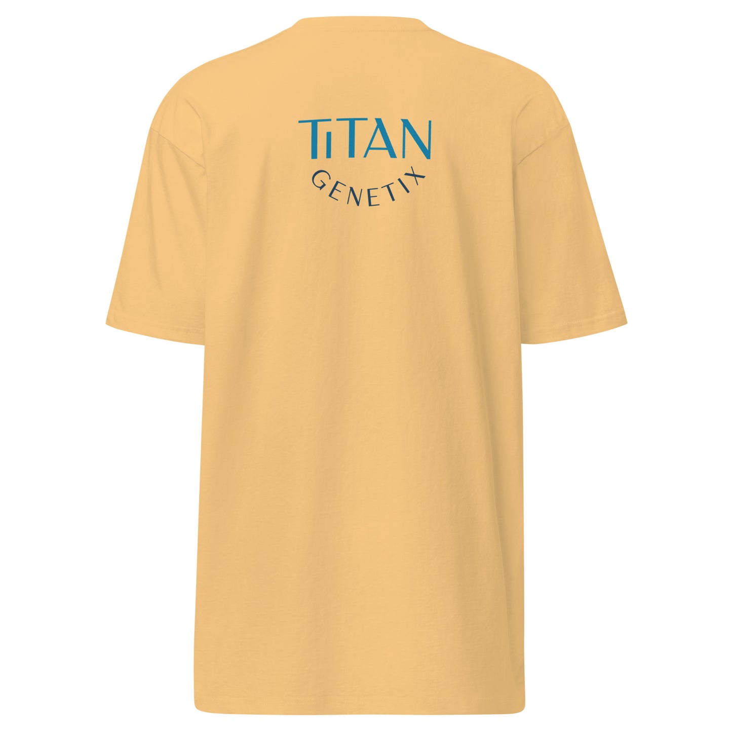 Titan Tenets - Men’s Premium T-Shirt